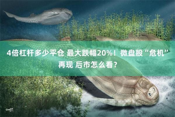 4倍杠杆多少平仓 最大跌幅20%！微盘股“危机”再现 后市怎么看？