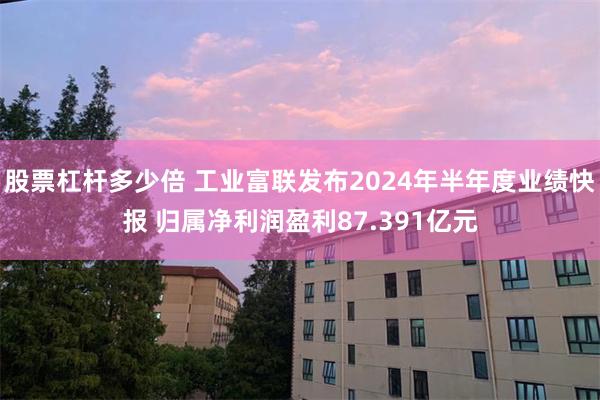 股票杠杆多少倍 工业富联发布2024年半年度业绩快报 归属净利润盈利87.391亿元