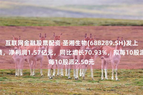 互联网金融股票配资 圣湘生物(688289.SH)发上半年业绩，净利润1.57亿元，同比增长70.93%，拟每10股派2.50元