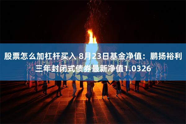 股票怎么加杠杆买入 8月23日基金净值：鹏扬裕利三年封闭式债券最新净值1.0326