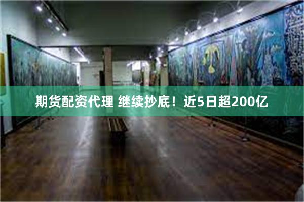 期货配资代理 继续抄底！近5日超200亿