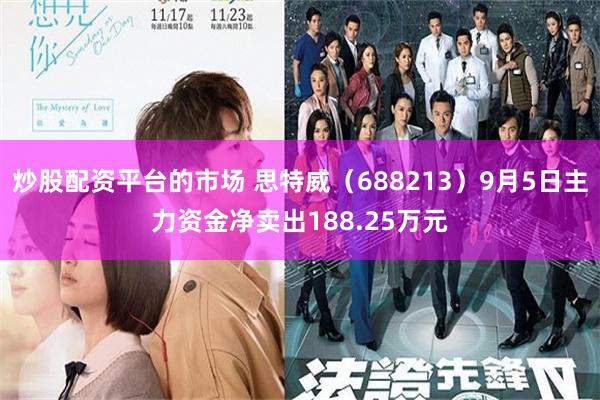 炒股配资平台的市场 思特威（688213）9月5日主力资金净卖出188.25万元