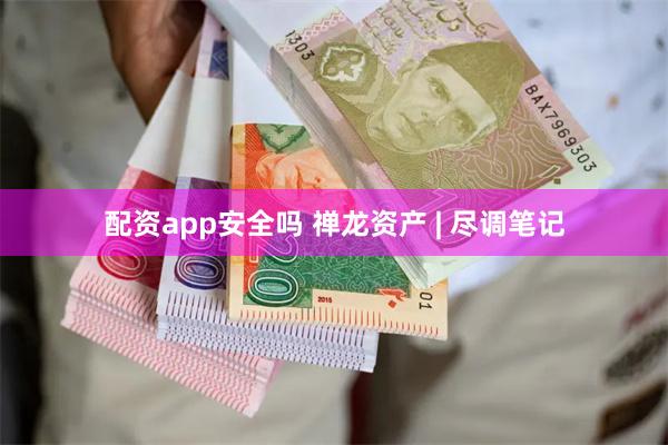 配资app安全吗 禅龙资产 | 尽调笔记