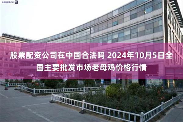 股票配资公司在中国合法吗 2024年10月5日全国主要批发市场老母鸡价格行情