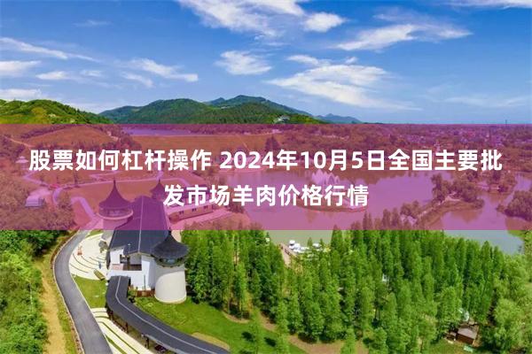 股票如何杠杆操作 2024年10月5日全国主要批发市场羊肉价格行情