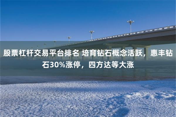 股票杠杆交易平台排名 培育钻石概念活跃，惠丰钻石30%涨停，四方达等大涨