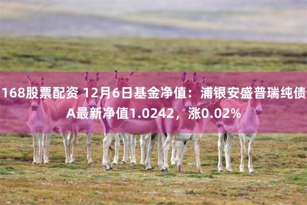 168股票配资 12月6日基金净值：浦银安盛普瑞纯债A最新净值1.0242，涨0.02%